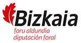 Bizkaia foru aldundia